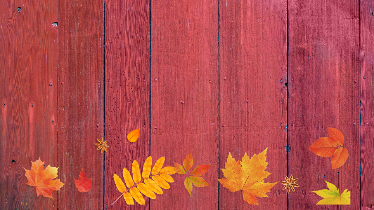 Leaves Photographic Background