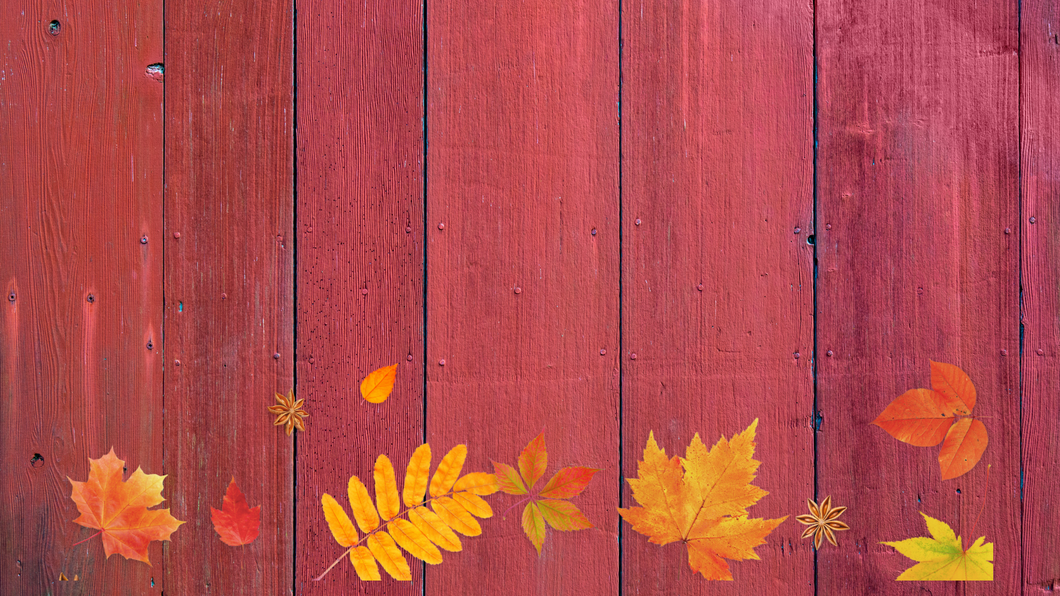 Leaves Photographic Background