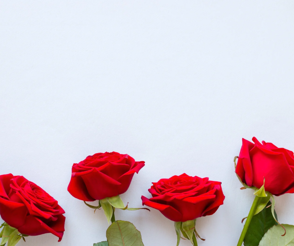 Roses are - Photographic Background
