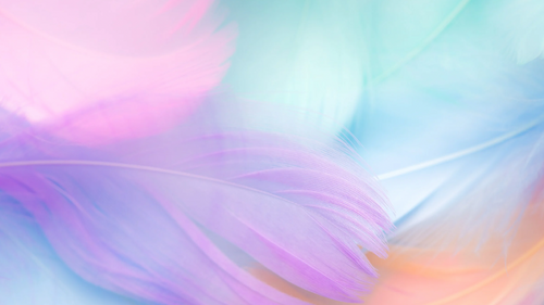 Pastel Feathers Photographic Background