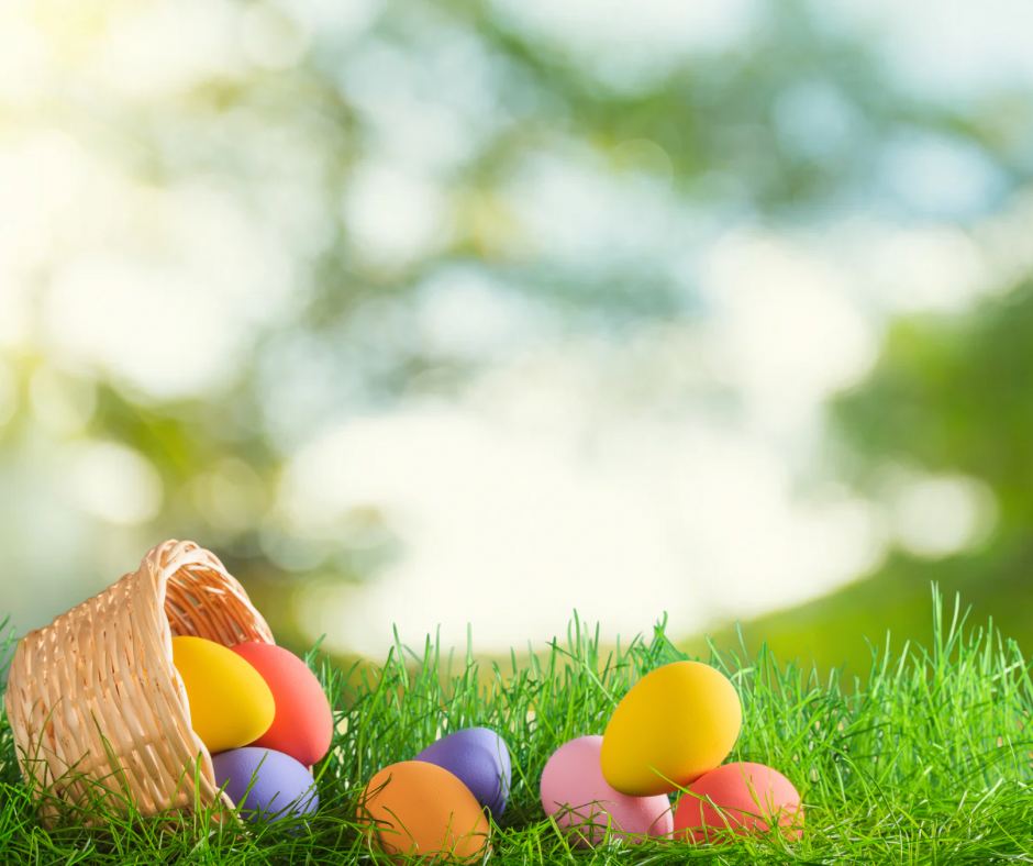 Egg Hunt - Photographic Background