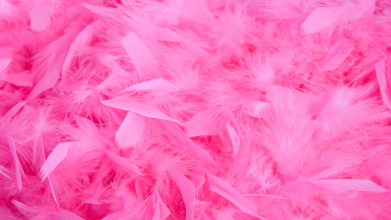 Feather Boa Photographic Background
