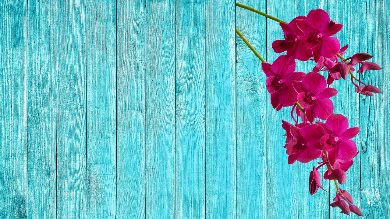 Aqua Floral Photographic Background