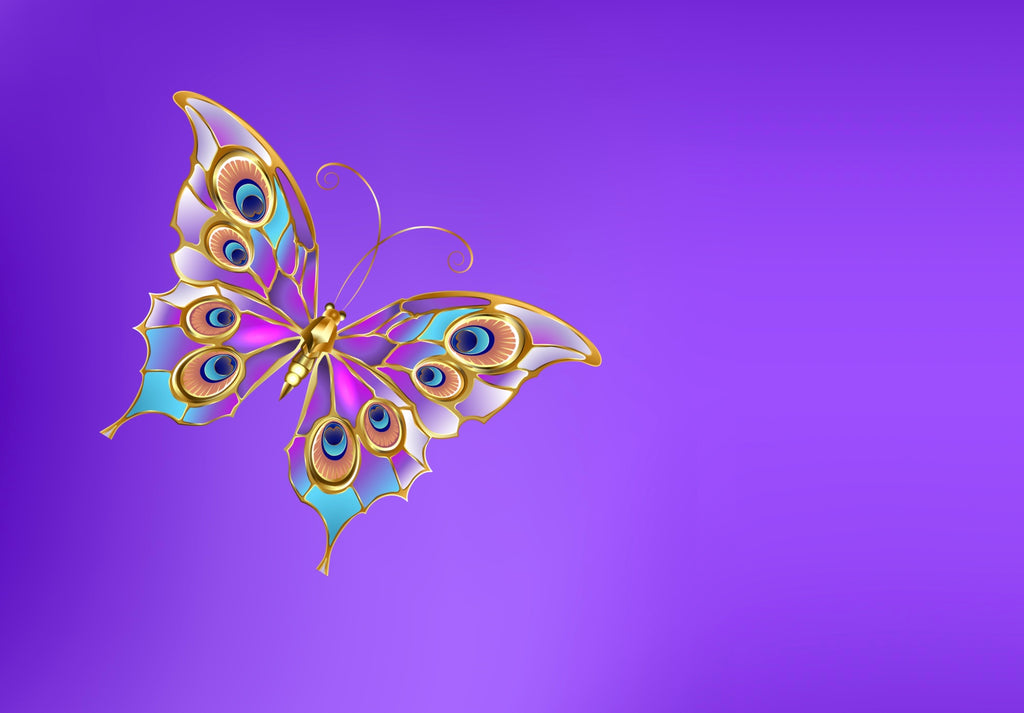Butterfly Photographic Background