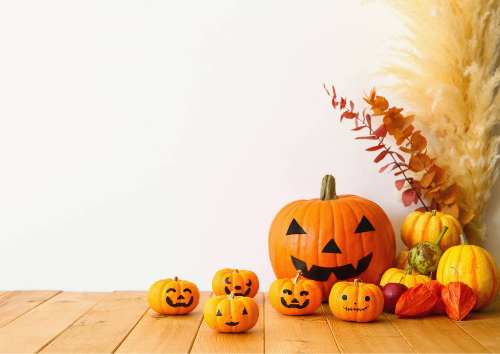 Pumpkin Photographic Background