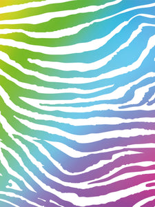 Colourful Zebra - Photographic Background